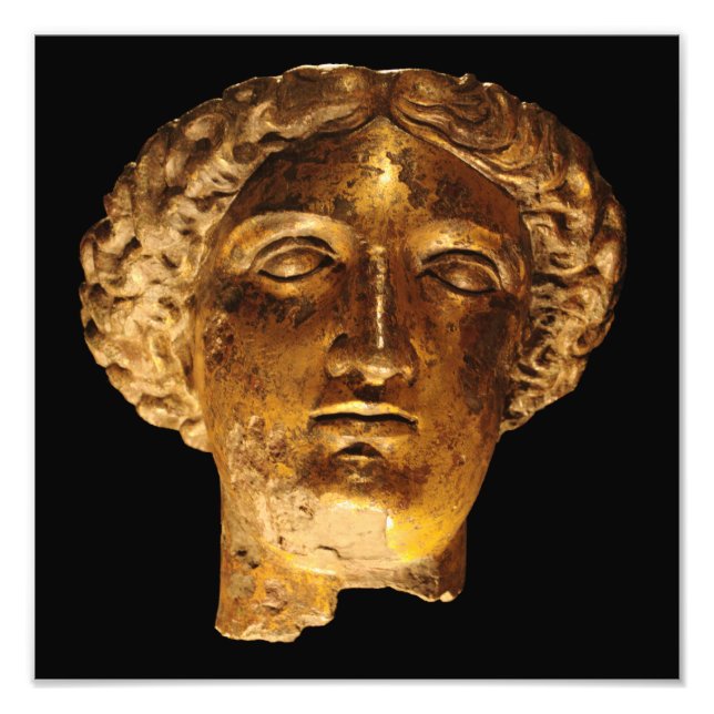 Roman Dam Fototryck (Framsidan)