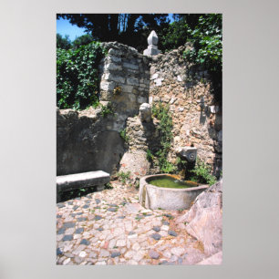 Roman fontän, Castello St. George, Alfama, Portu Poster