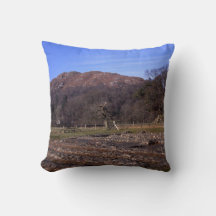 Roman Fort Ambleside Cumbria vykort