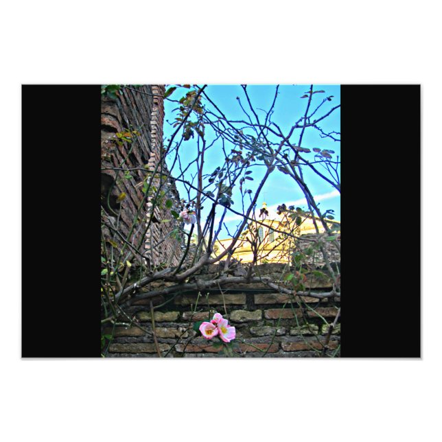Roman Forum Flowers 2 Fototryck (Framsidan)