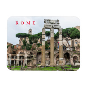 Roman Forum ruins view-kylskåp Magnet