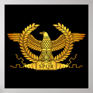 Roman Golden Eagle på Black Poster