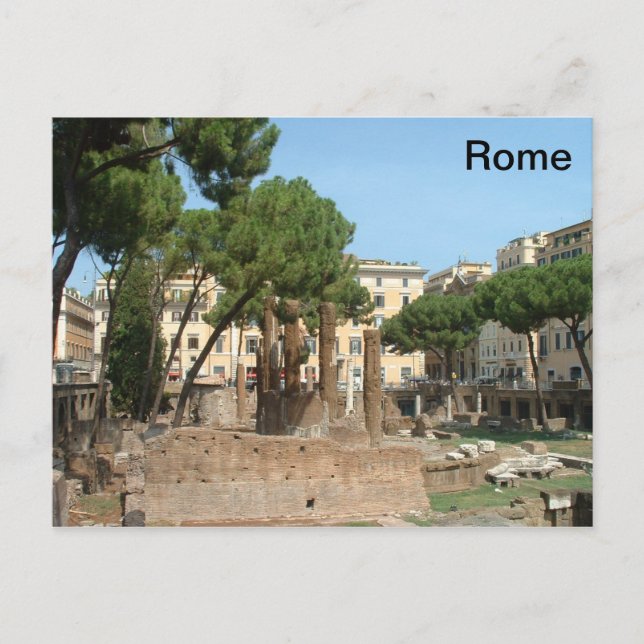 Roman Ruins - Piazza Argentina - Rom Vykort (Framsida)