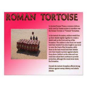 Roman Tortoise Fototryck