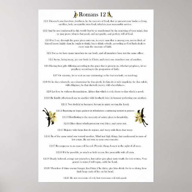 Romaner 12 poster (Framsidan)