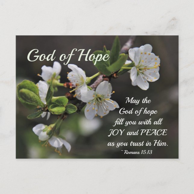 Romaner 15:13 Hundens gud Vita blommor Vykort (Framsida)