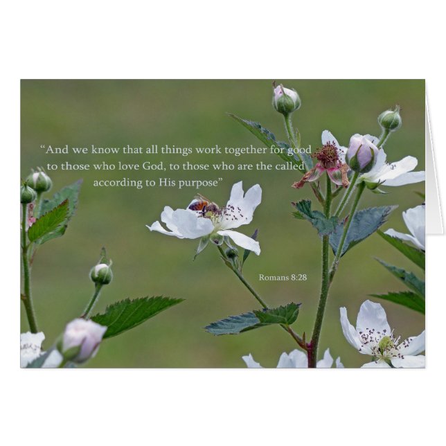 Romaner 8:28 hälsningskort (Framsidan Horizontal)