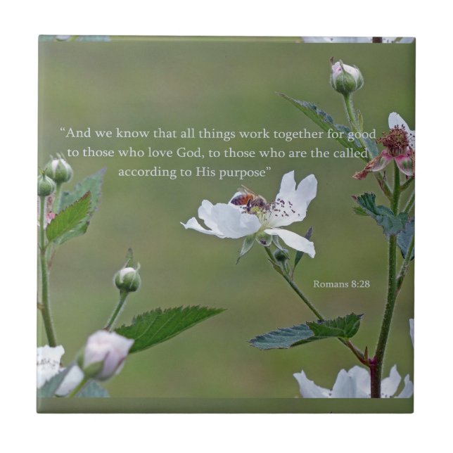 Romaner 8:28 kakelplatta (Framsidan)