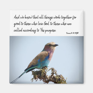 Romaner 8:28 (KJV) Magnet