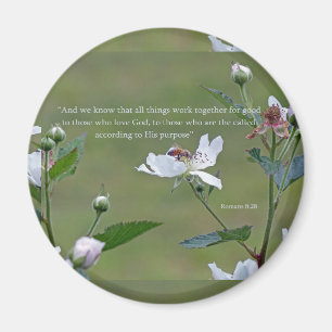 Romaner 8:28 magnet
