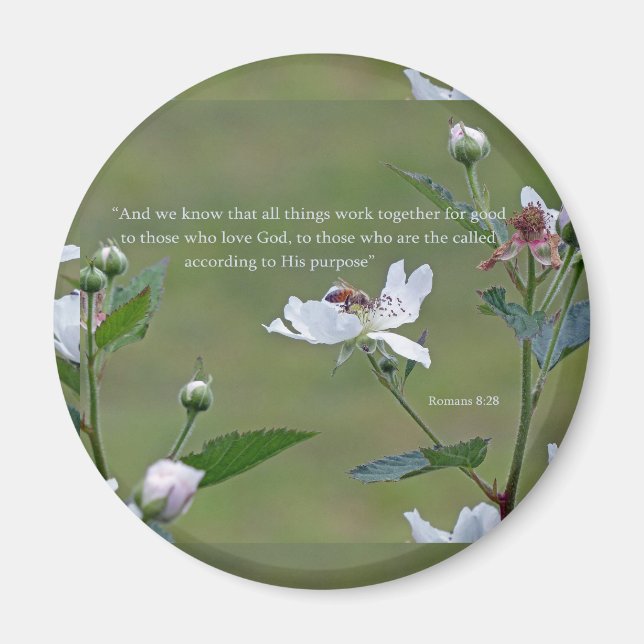 Romaner 8:28 magnet (Framsidan)