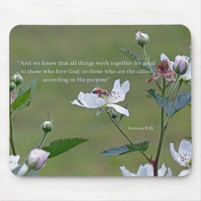 Romaner 8:28 musmatta (Framsidan)