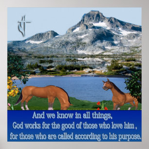 Romaner 8:28 poster