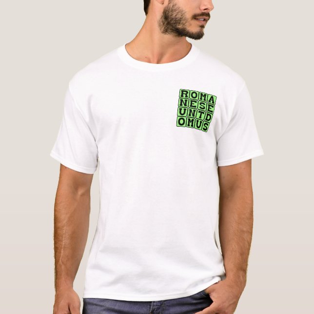 Romanes Eunt Domus, latinska graffiti Tee Shirt (Framsida)