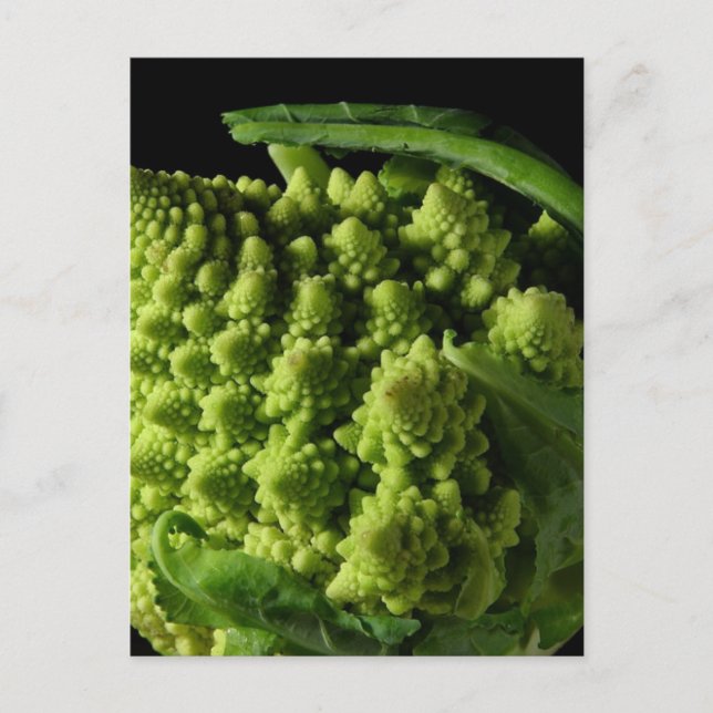 Romanesco Broccoli Fractaler Vykort (Framsida)