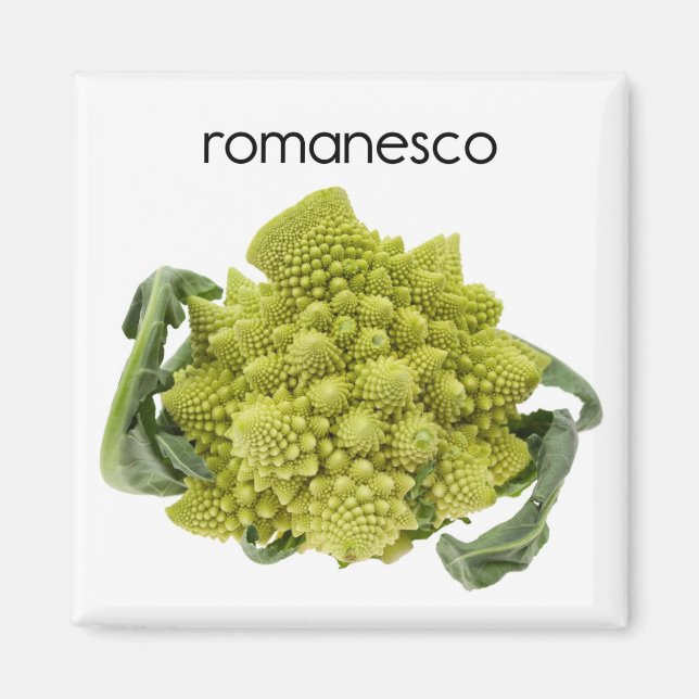 Romanesco Refrigerator Magnet (Framsidan)