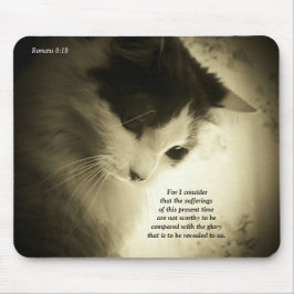 Romans8:18härlighet Musmatta