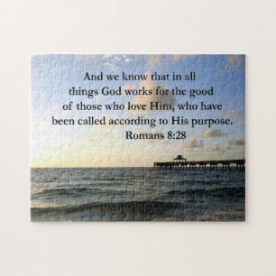 ROMANS 8:28 BIBLE PUSSEL