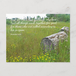 Romans 8:28 Tranquil Scene-vykort Vykort