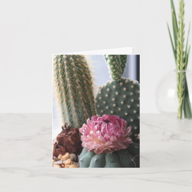 Romans 8:37 Cactus Card Kort (Framsida)