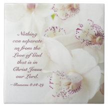 Romans 8:39 Kärlek av gud Bible White Orchids