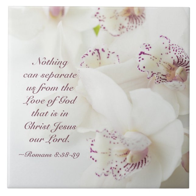 Romans 8:39 Kärlek av gud Bible White Orchids Kakelplatta (Framsidan)