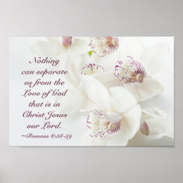 Romans 8:39 Kärlek av gud Bible White Orchids Poster