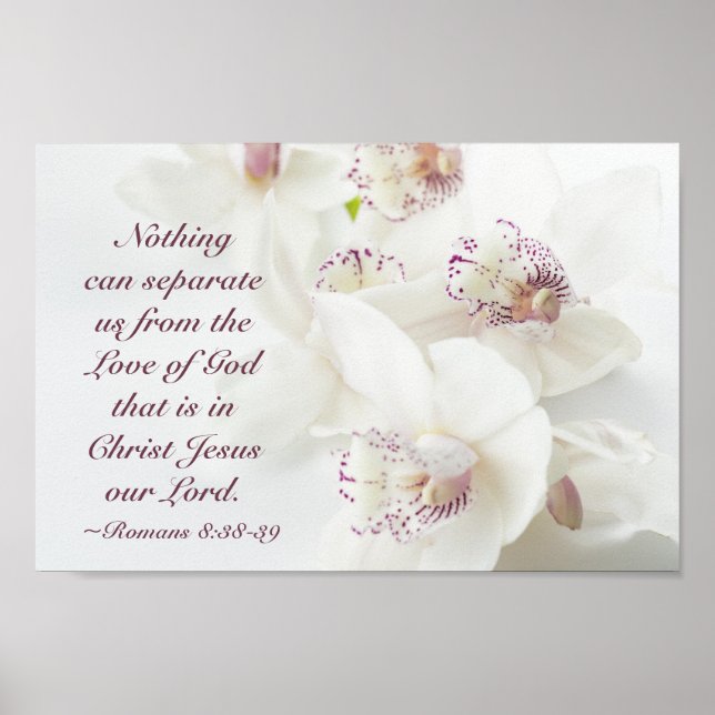 Romans 8:39 Kärlek av gud Bible White Orchids Poster (Framsidan)