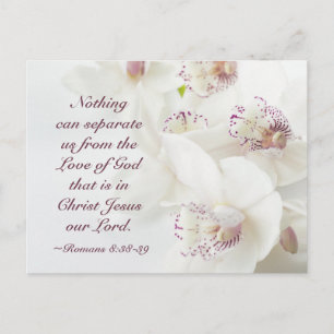 Romans 8:39 Kärlek av gud Bible White Orchids Vykort