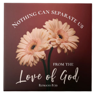 Romans 8 39 Kärlek of God Bible Verse Rosa Brown Kakelplatta