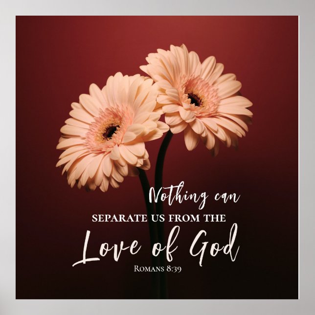 Romans 8 39 Kärlek of God Bible Verse Rosa Brown Poster (Framsidan)