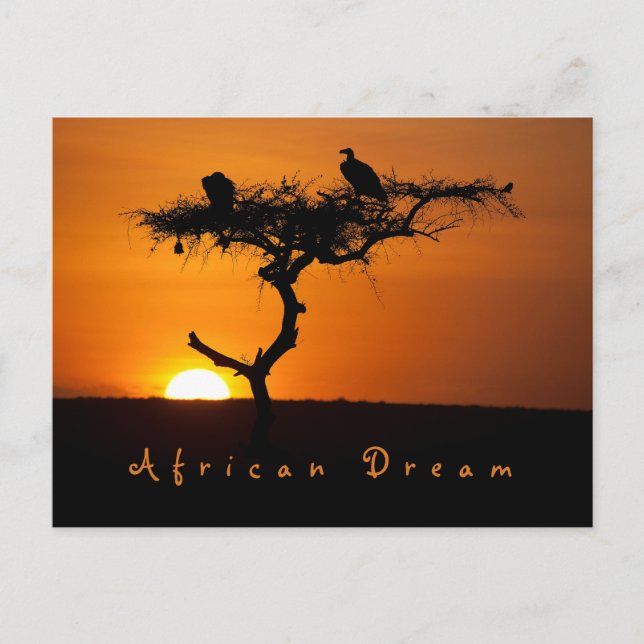 Romantic African Dream sunset-foto med text Vykort (Framsida)