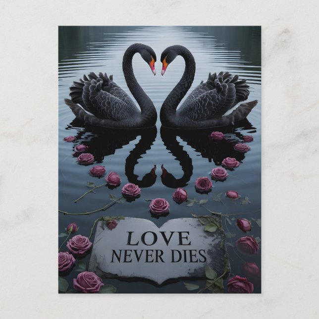 Romantic Black Swans Heart Reflection with Text Vykort (Framsida)