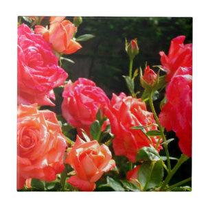 Romantic Coral Ro Kakelplatta
