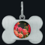 Romantic Coral Ro Namnbricka Husdjur<br><div class="desc">romantisk korallträdgård i ro - foto av H-koppar</div>