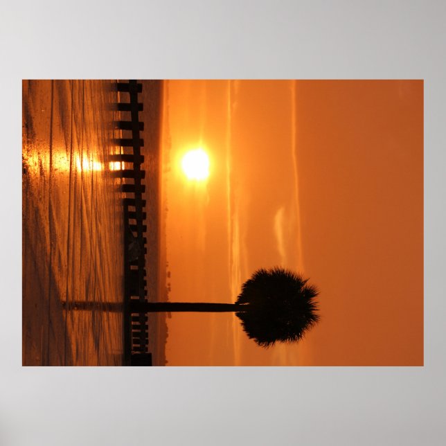 Romantic Florida Tampa sunset poster Large (Framsidan)