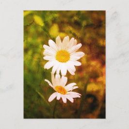 Romantic Flowers – Botanical Daisy Сouple Vykort