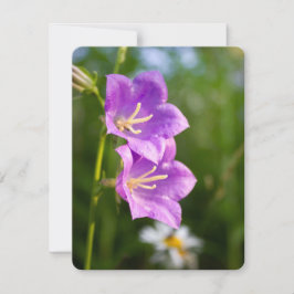 Romantic Flowers – Botanical Fantasy Garden Julkort