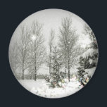 Romantic Forest Julgranar Winter Wedding Magnet<br><div class="desc">Romantisk Forest Julgranar Vinterbröllopsinbjudning,  julbröllopsinbjudningar,  vinterbröllop förutom datumet,  vinterbröllopsfavoriter.</div>