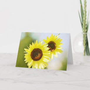 Romantic Garden Flowers Sunblommor Kort