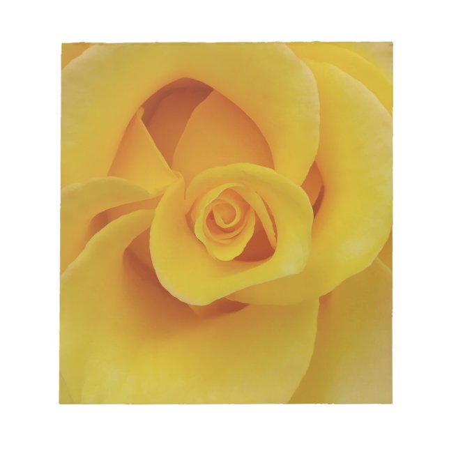 Romantic Gul ros Petals Anteckningsblock (Framsida)