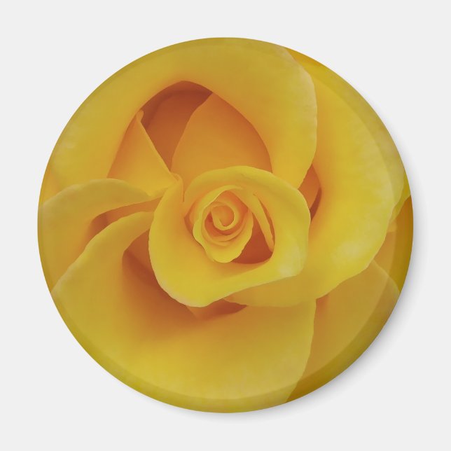Romantic Gul ros Petals Magnet (Framsidan)