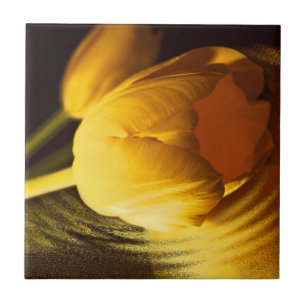 Romantic Gult Tulip Kakelplatta