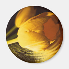 Romantic Gult Tulip Magnet