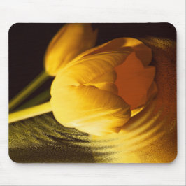 Romantic Gult Tulip Musmatta