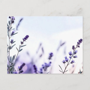 Romantic Lavender Watercolor Vykort