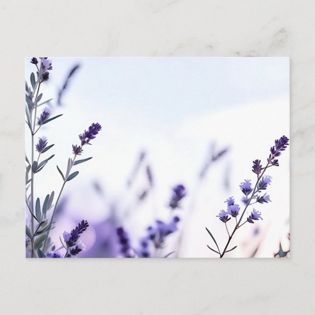 Romantic Lavender Watercolor Vykort (Framsida)