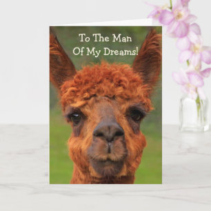 Romantic Llama "Man of My Dreams" Birthday Kort