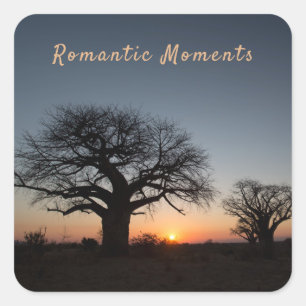 Romantic Moments Sunset Helig Baobabs-fotoptext Fyrkantigt Klistermärke