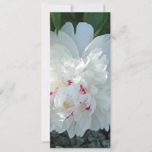 Romantic Peony Bookmark